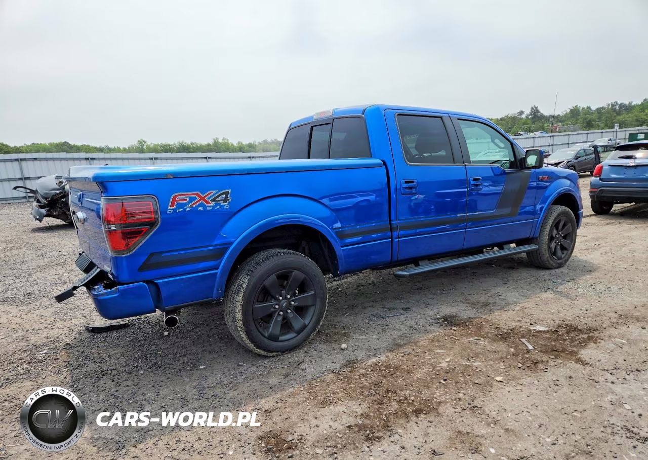2014 Ford F150 Supercrew VIN:1FTFW1ET9EFB09756 - 3