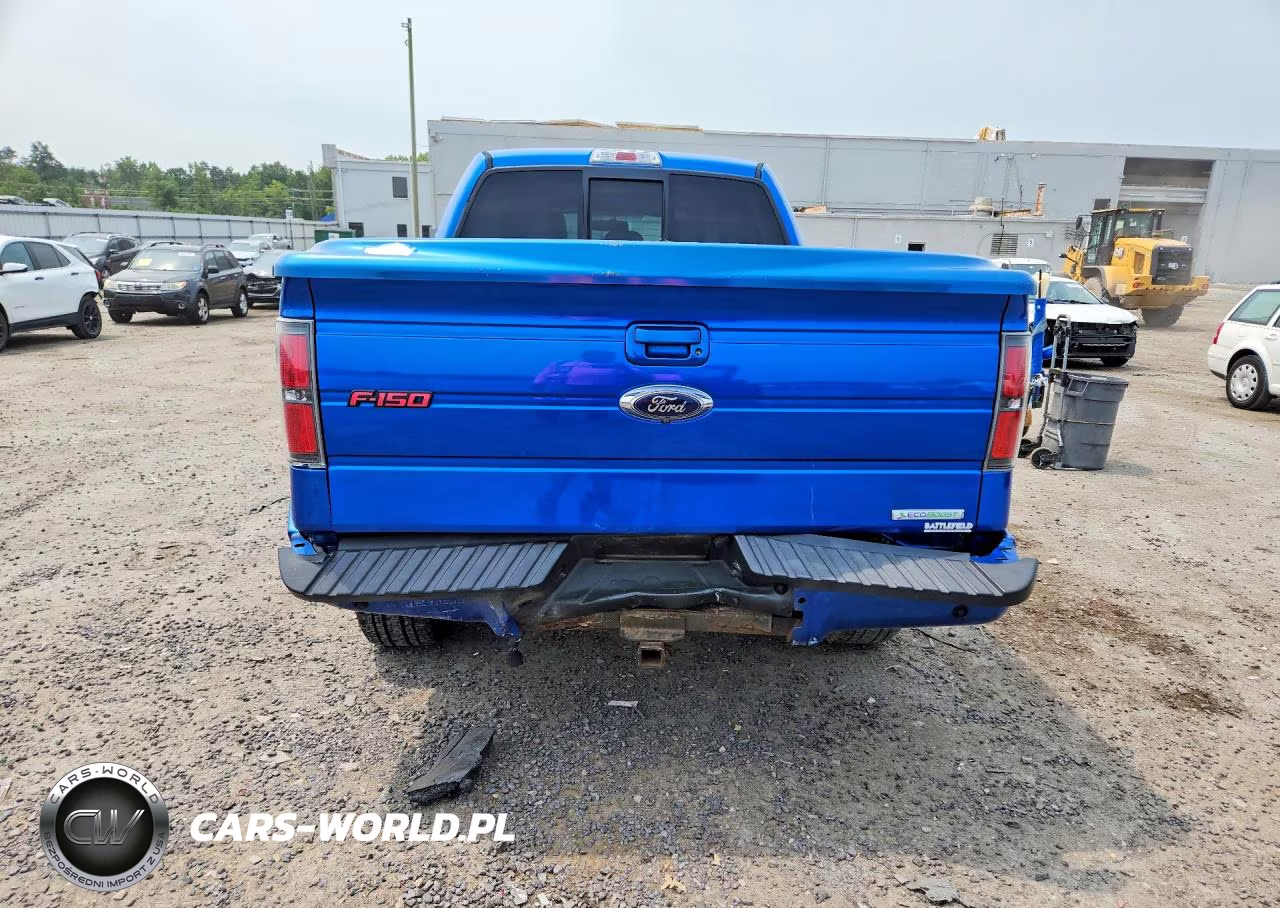 2014 Ford F150 Supercrew VIN:1FTFW1ET9EFB09756 - 6
