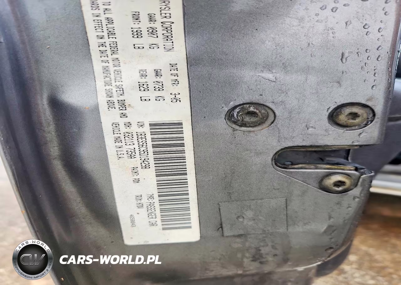 2005 Dodge Neon Sxt VIN:1B3ES56C95D194298 - 13