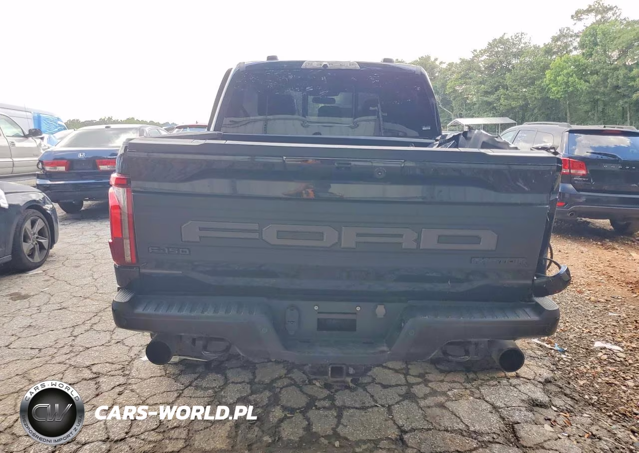 2024 Ford F-150 Raptor VIN:1FTFW1RG9RFB96660 - 6