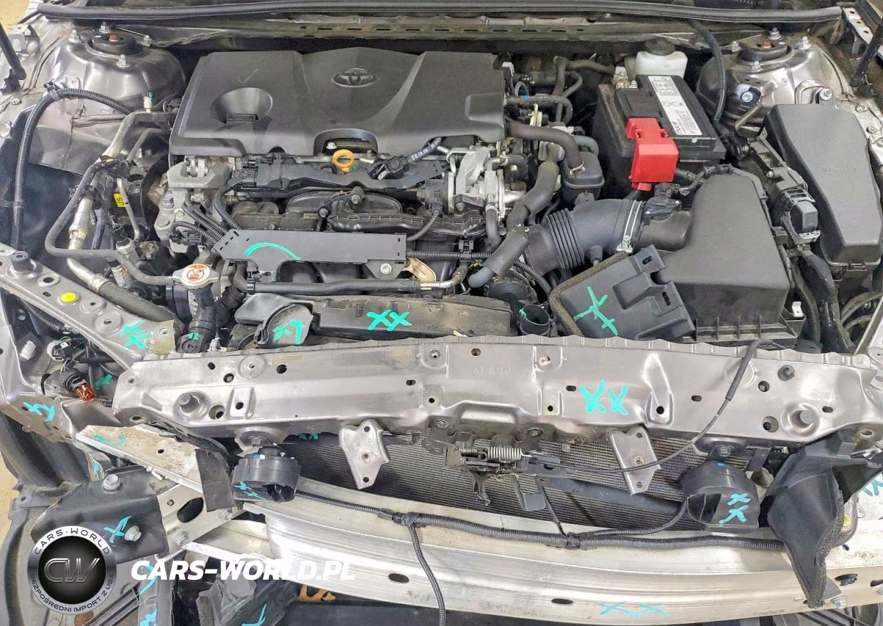 2019 Toyota Camry Le VIN:4T1B11HK3KU814314 - 11