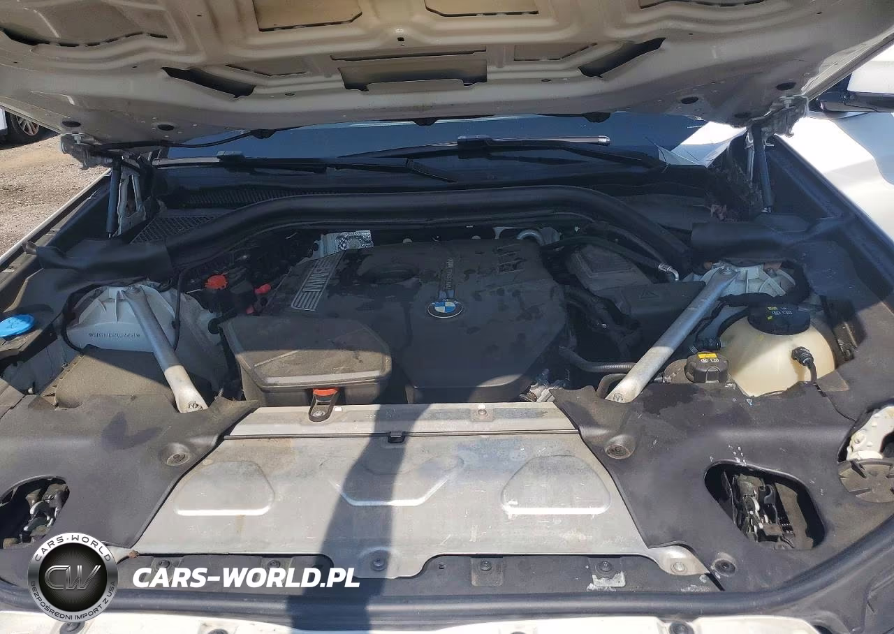 2019 BMW X3 Sdrive30I VIN:5UXTR7C52KLF28161 - 11