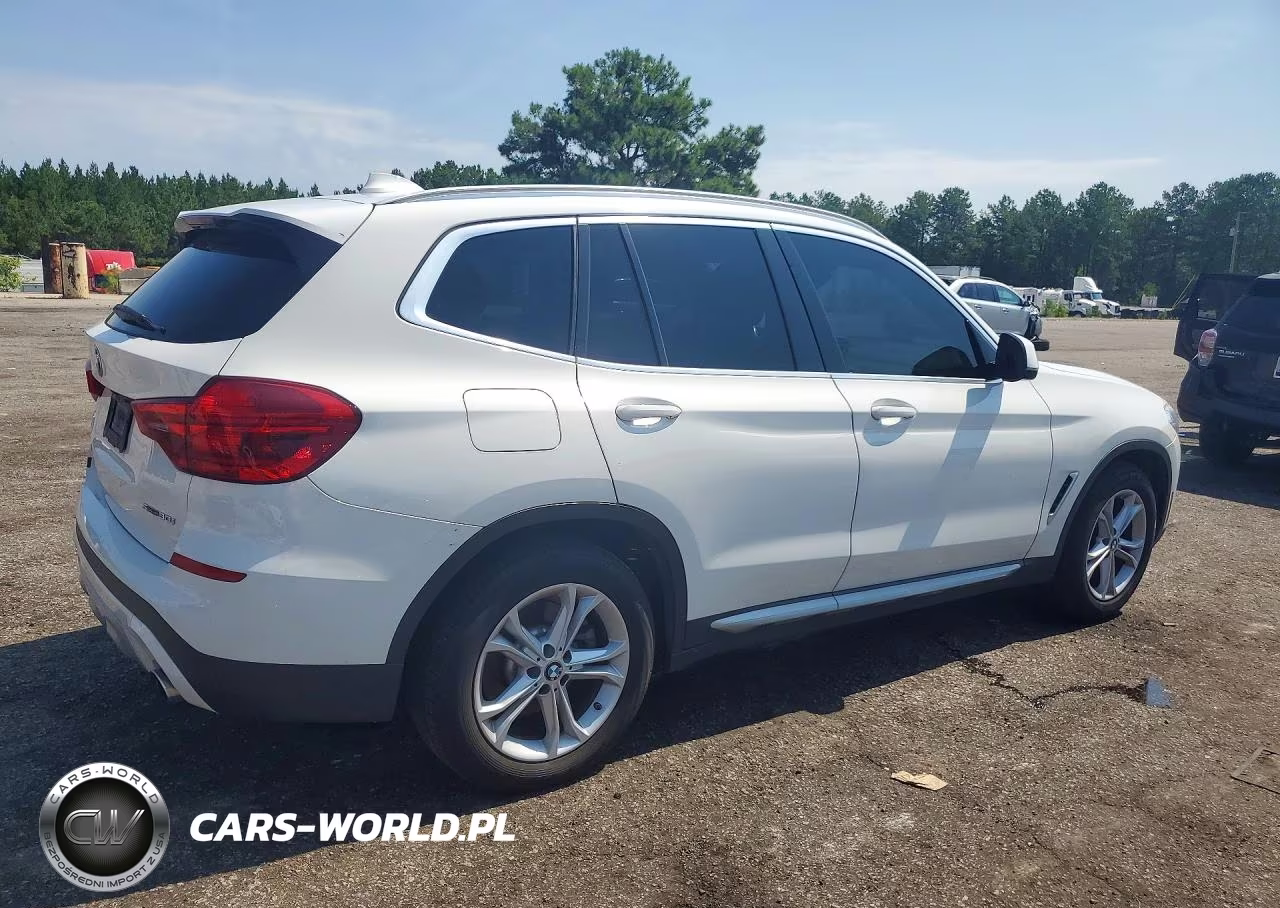 2019 BMW X3 Sdrive30I VIN:5UXTR7C52KLF28161 - 3