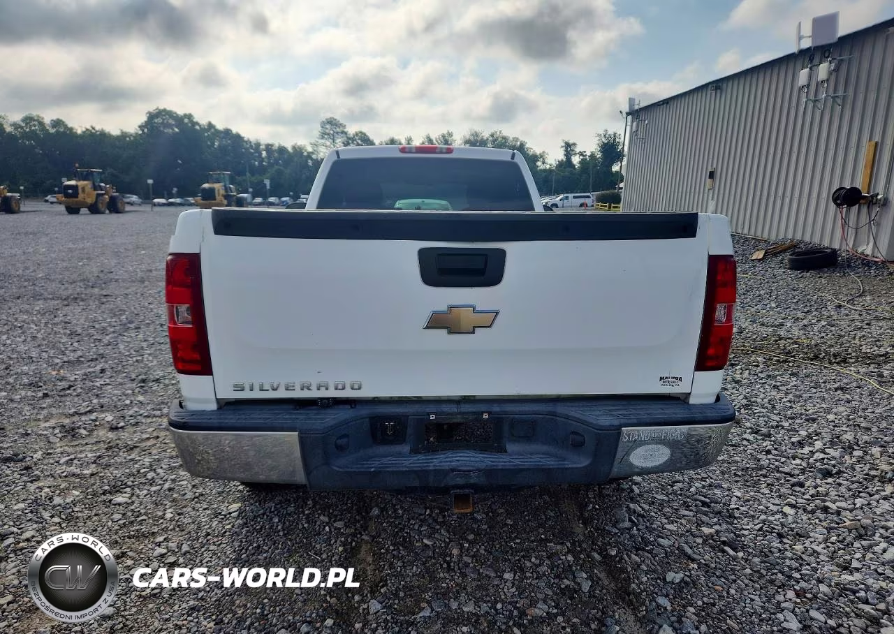2009 Chevrolet Silverado K1500 VIN:1GCEK14J99Z191970 - 6