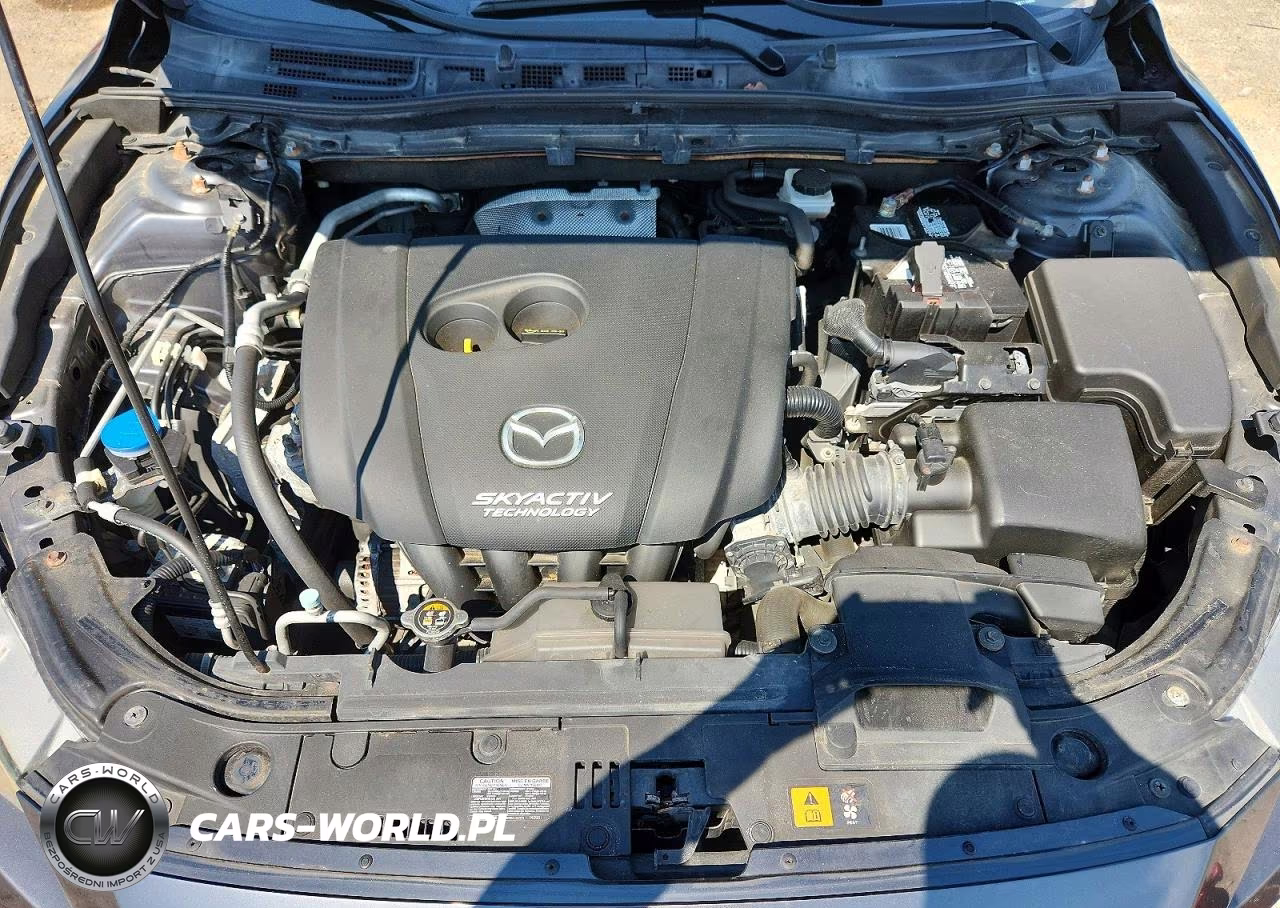 2014 Mazda 3 Touring VIN:JM1BM1L76E1116008 - 11