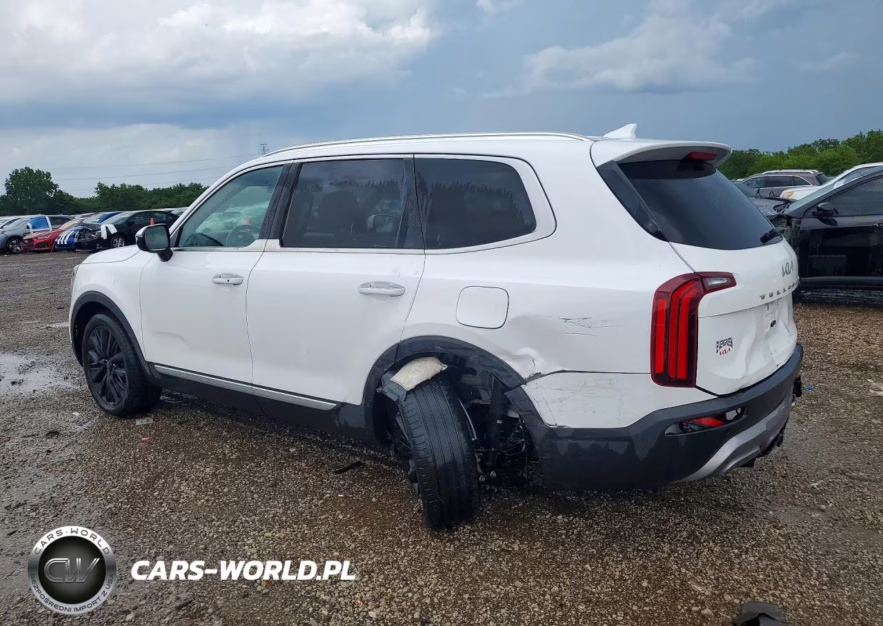 2022 Kia Telluride Sx VIN:5XYP54HC3NG317245 - 2
