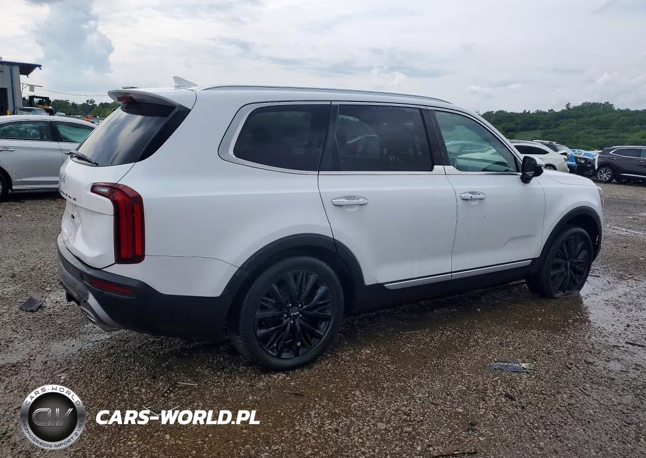 2022 Kia Telluride Sx VIN:5XYP54HC3NG317245 - 3