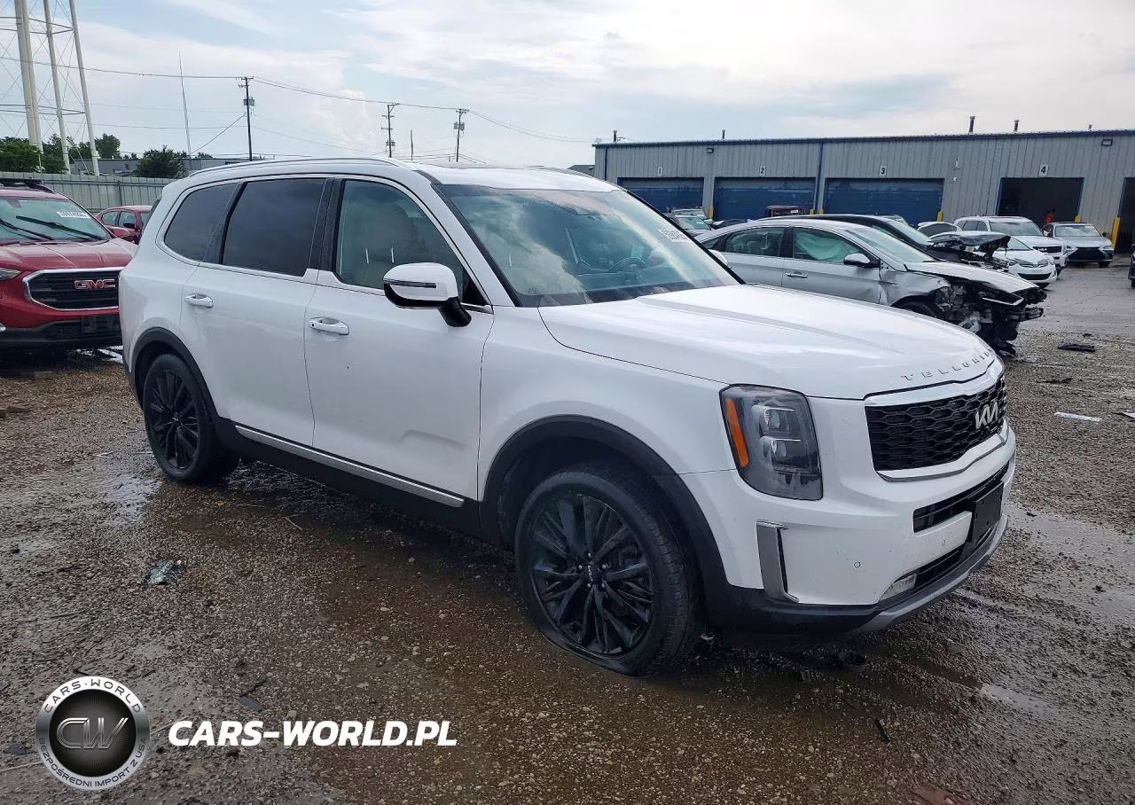 2022 Kia Telluride Sx VIN:5XYP54HC3NG317245 - 4