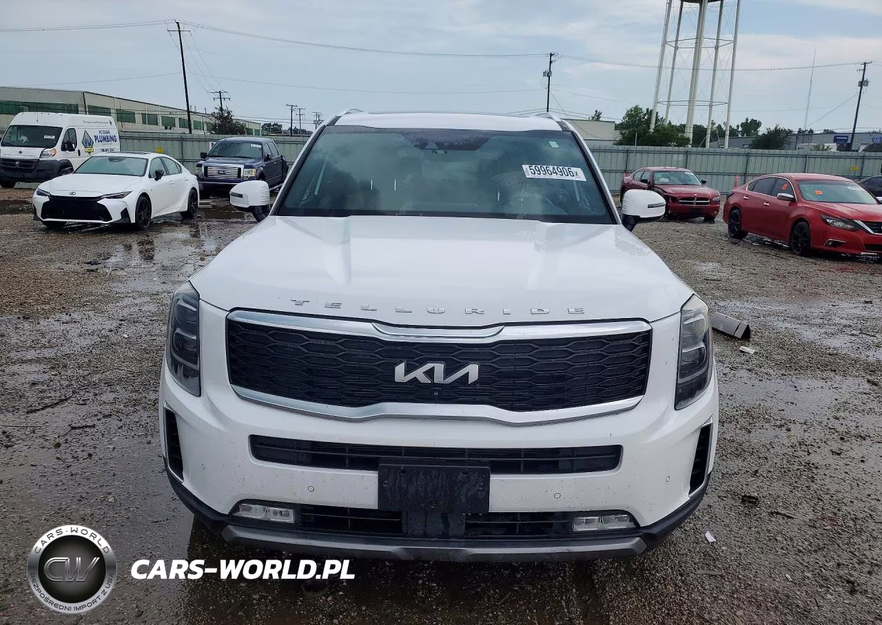 2022 Kia Telluride Sx VIN:5XYP54HC3NG317245 - 5