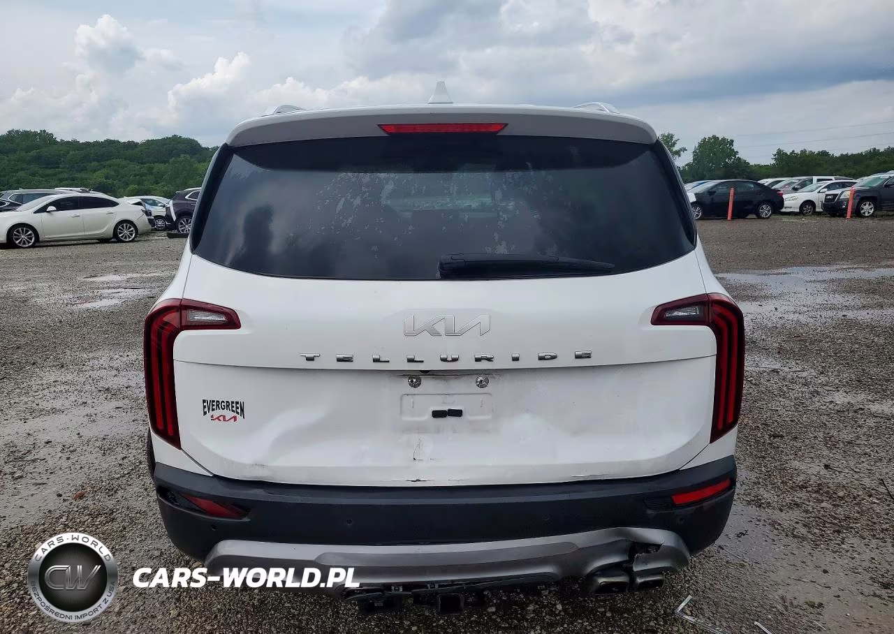 2022 Kia Telluride Sx VIN:5XYP54HC3NG317245 - 6