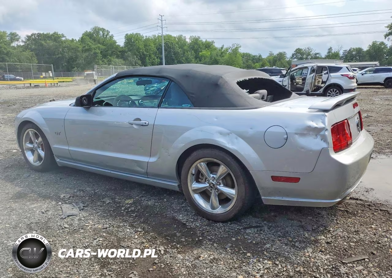 2006 Ford Mustang Gt VIN:1ZVFT85H965170591 - 2
