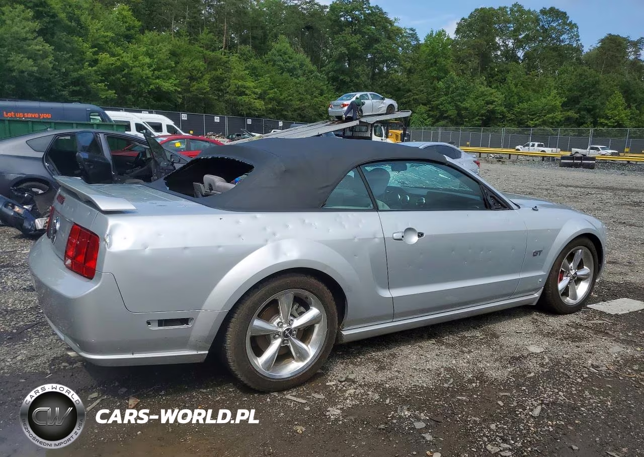 2006 Ford Mustang Gt VIN:1ZVFT85H965170591 - 3