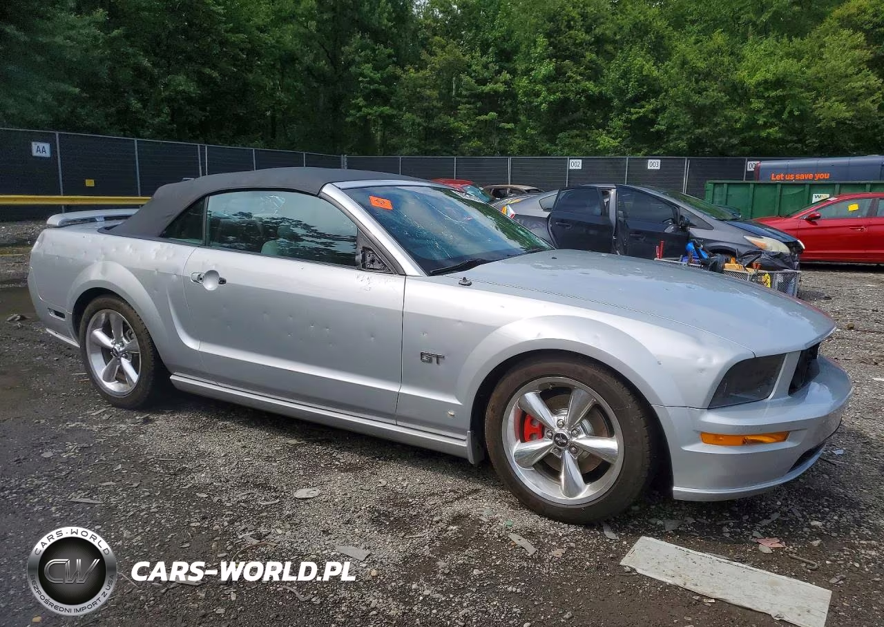 2006 Ford Mustang Gt VIN:1ZVFT85H965170591 - 4