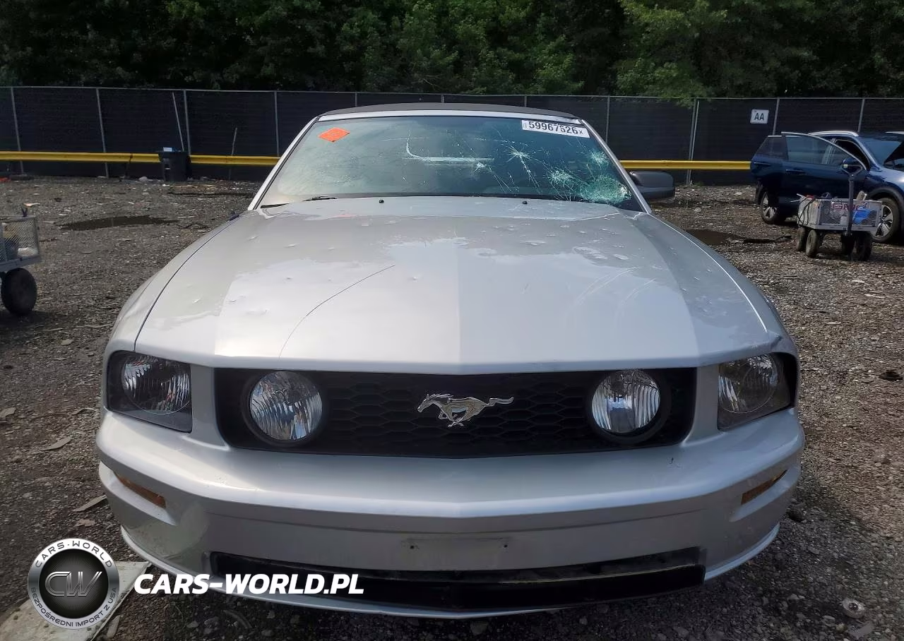 2006 Ford Mustang Gt VIN:1ZVFT85H965170591 - 5