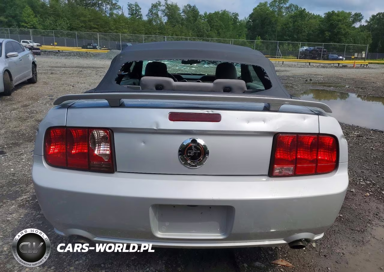 2006 Ford Mustang Gt VIN:1ZVFT85H965170591 - 6