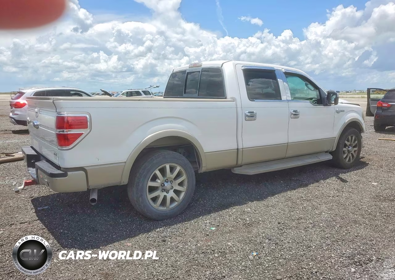 2010 Ford F150 Supercrew VIN:1FTFW1CV4AKC10841 - 3