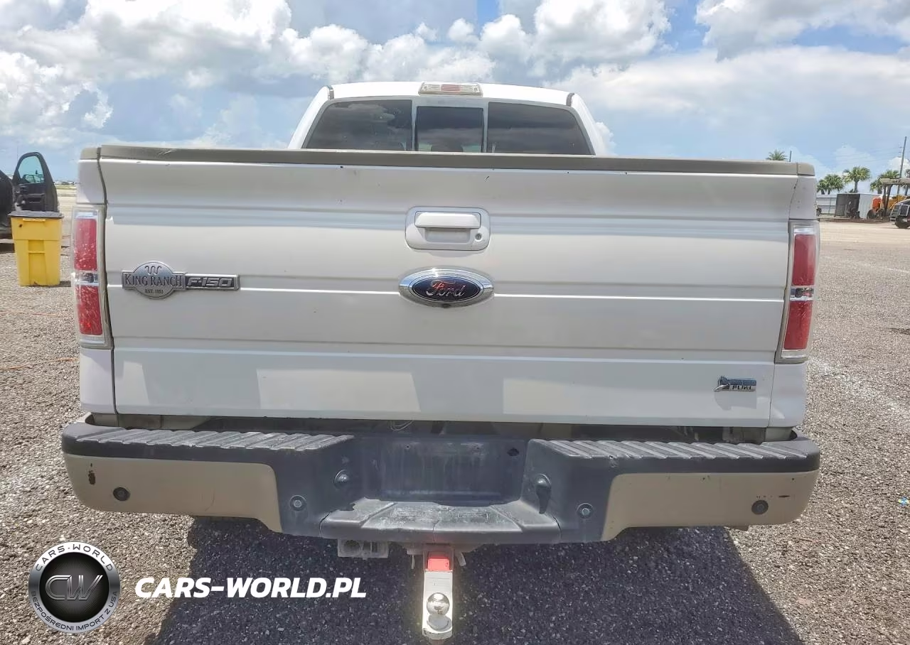 2010 Ford F150 Supercrew VIN:1FTFW1CV4AKC10841 - 6