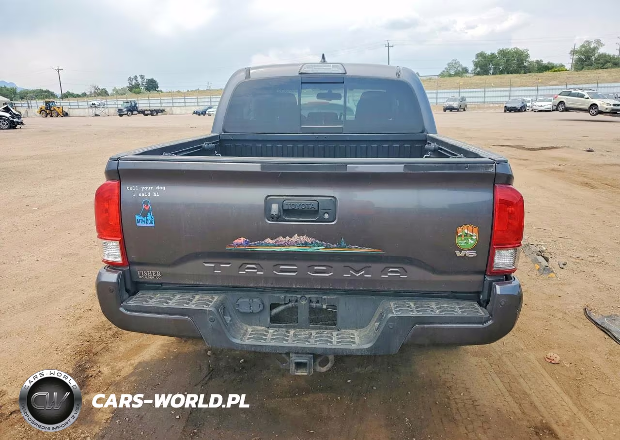2017 Toyota Tacoma Trd Off-Road VIN:5TFCZ5AN3HX105399 - 6