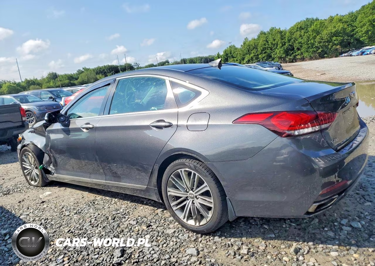 2019 Genesis G80 3.8 VIN:KMHGN4JE7KU289449 - 2