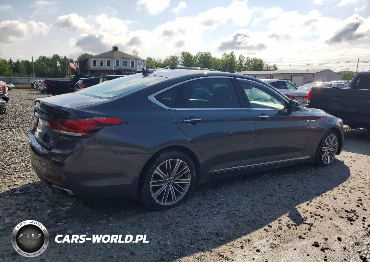 2019 Genesis G80 3.8 VIN:KMHGN4JE7KU289449 - 3