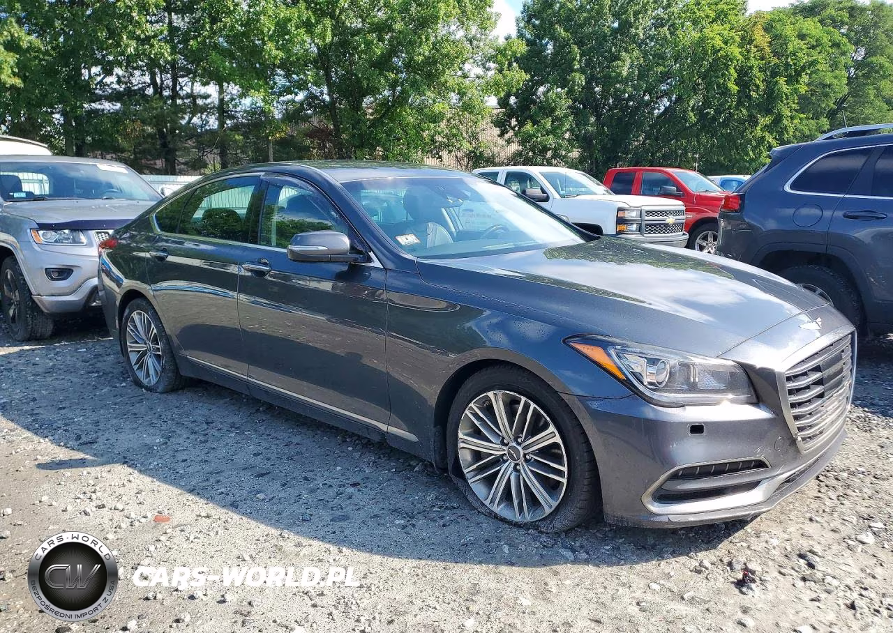 2019 Genesis G80 3.8 VIN:KMHGN4JE7KU289449 - 4
