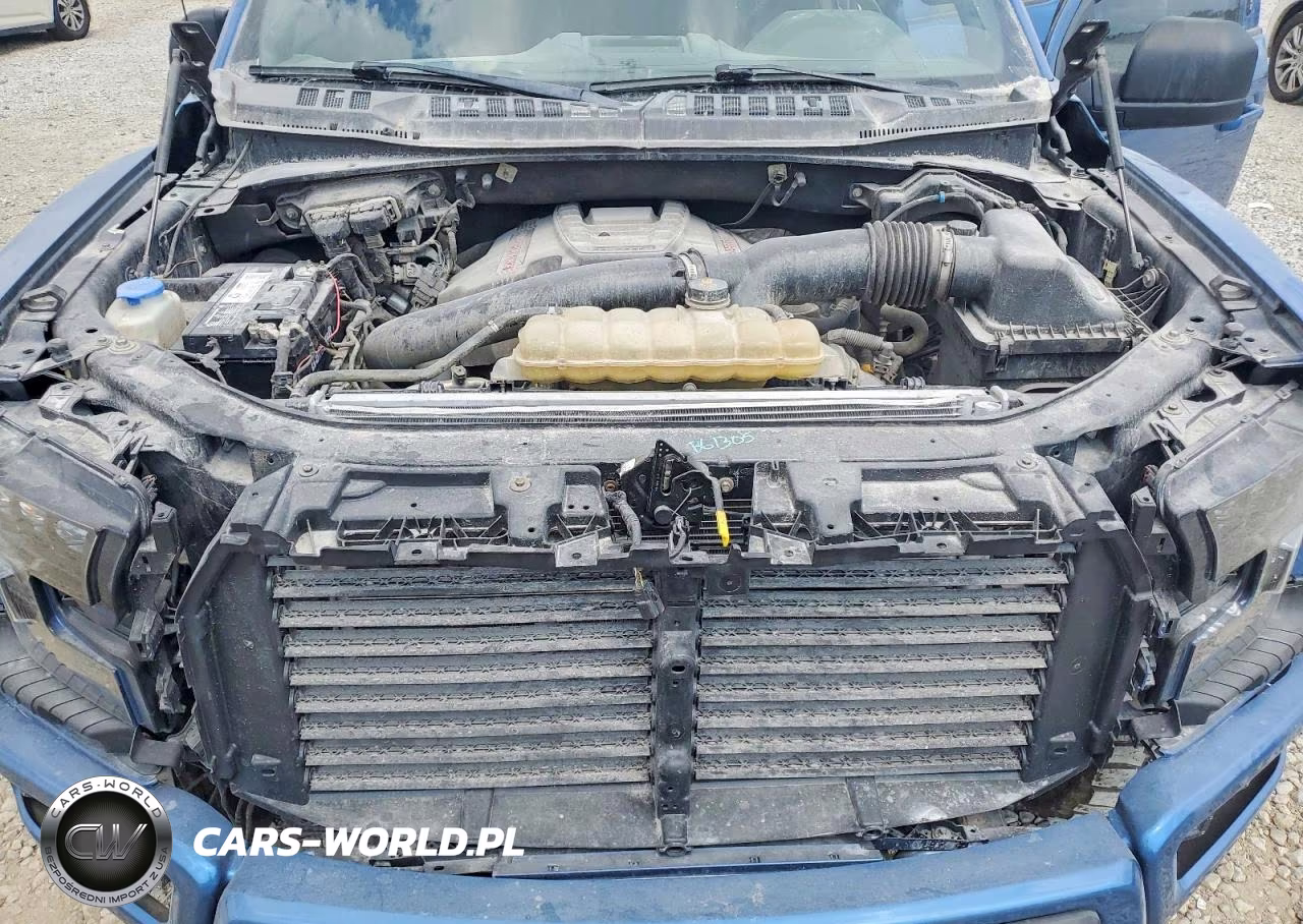 2019 Ford F150 Raptor VIN:1FTFW1RG4KFA17818 - 11