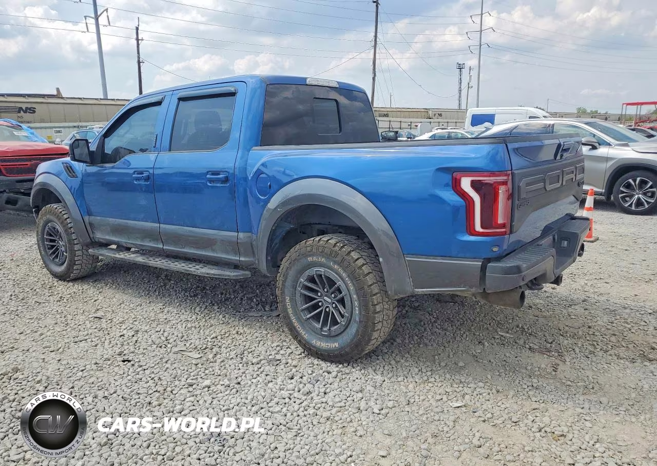 2019 Ford F150 Raptor VIN:1FTFW1RG4KFA17818 - 2