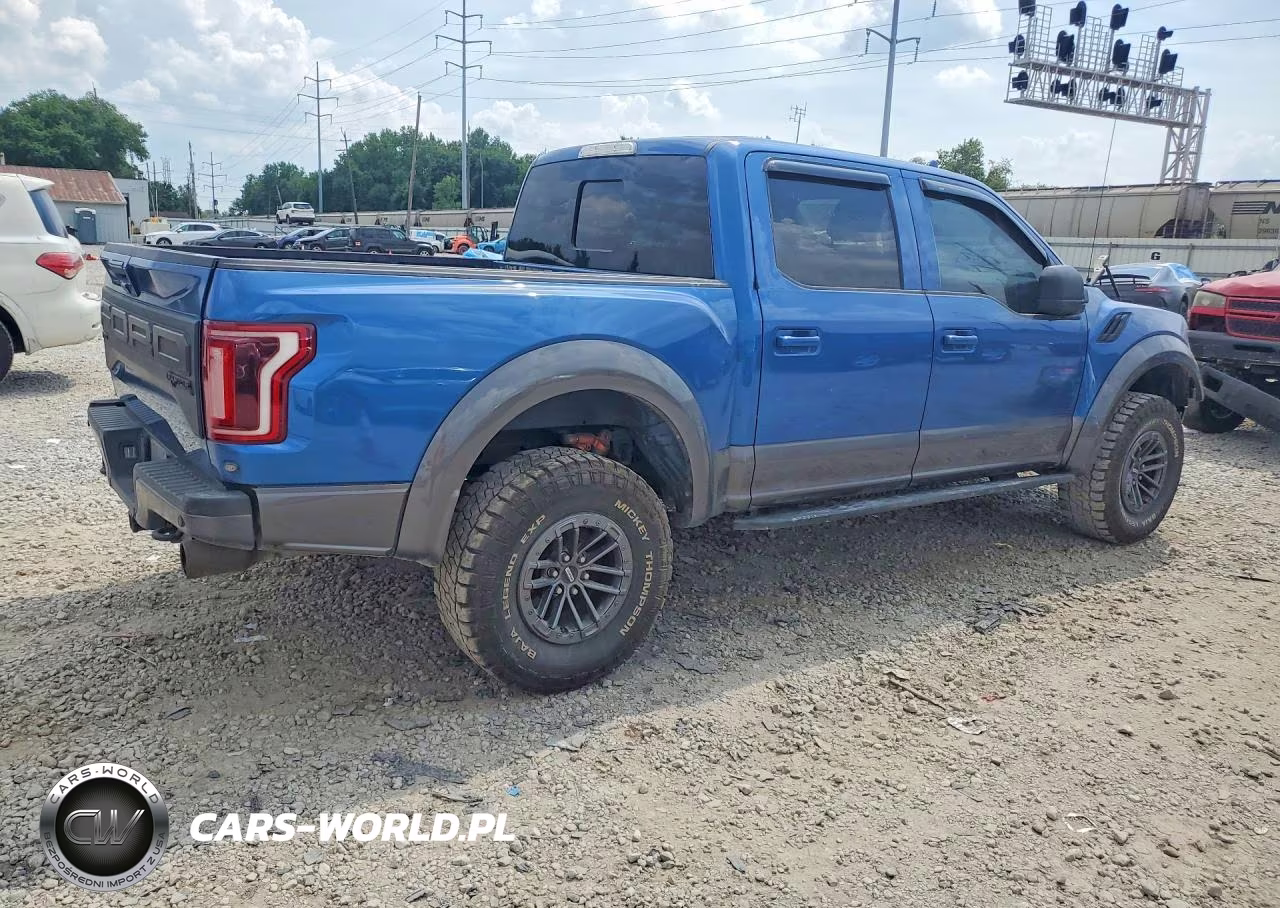 2019 Ford F150 Raptor VIN:1FTFW1RG4KFA17818 - 3