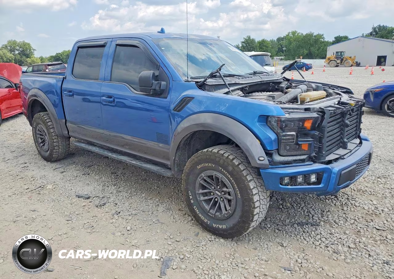 2019 Ford F150 Raptor VIN:1FTFW1RG4KFA17818 - 4