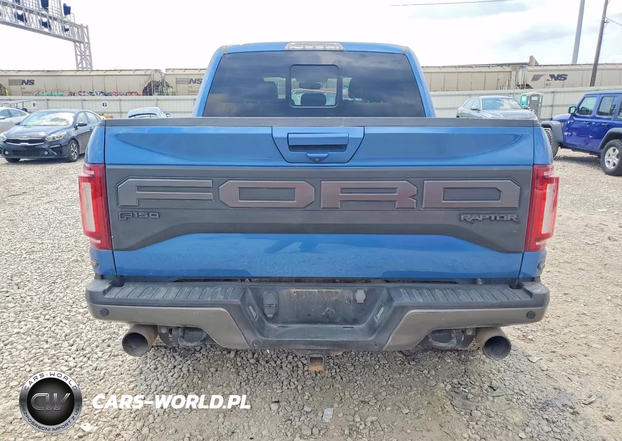 2019 Ford F150 Raptor VIN:1FTFW1RG4KFA17818 - 6