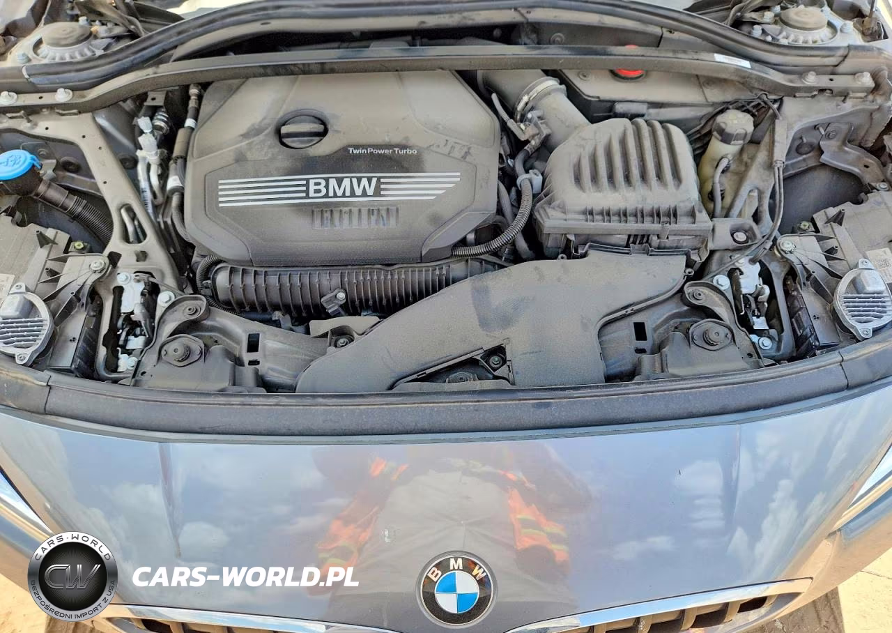 2023 BMW 228I VIN:WBA53AK04P7N00743 - 11
