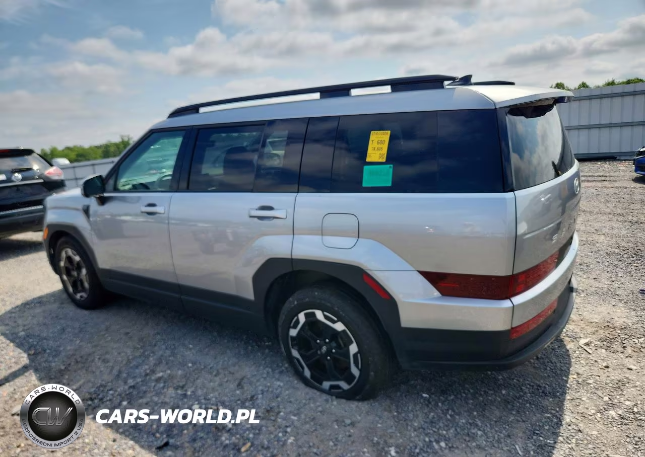 2024 Hyundai Santa Fe Sel VIN:5NMP2DGLXRH024366 - 2