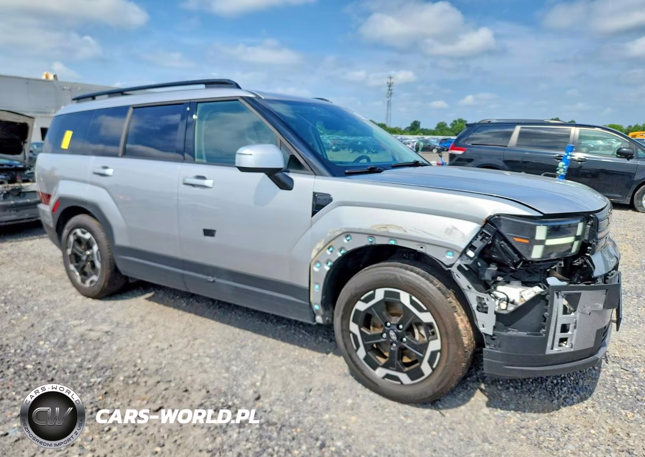 2024 Hyundai Santa Fe Sel VIN:5NMP2DGLXRH024366 - 4