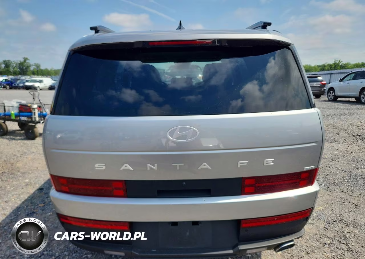 2024 Hyundai Santa Fe Sel VIN:5NMP2DGLXRH024366 - 6