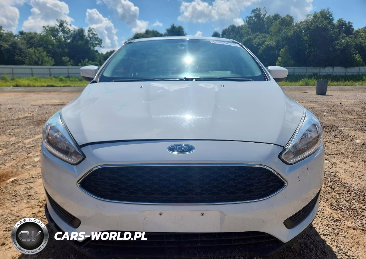 2018 Ford Focus Se VIN:1FADP3K21JL231976 - 5
