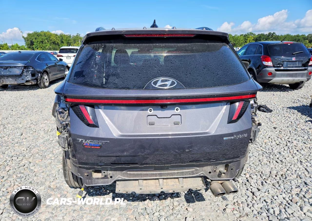 2024 Hyundai Tucson N Line VIN:KM8JFCD16RU167682 - 6