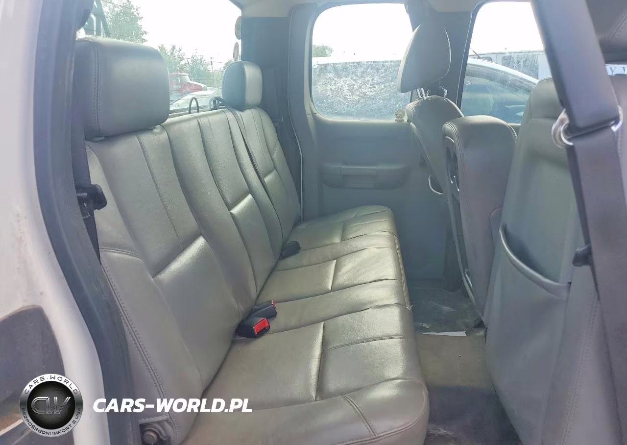 2009 Chevrolet Silverado K1500 VIN:1GCEK19J99E125841 - 10