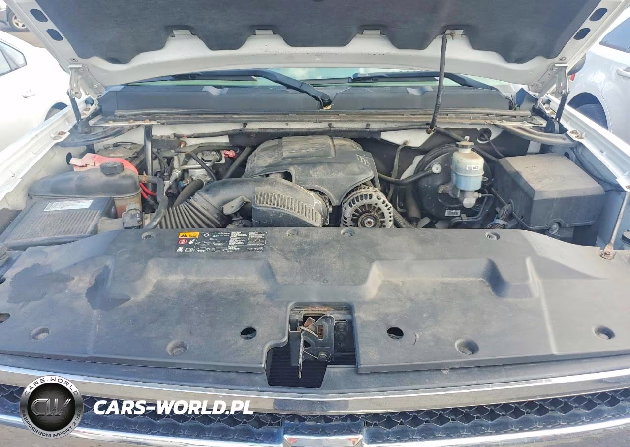 2009 Chevrolet Silverado K1500 VIN:1GCEK19J99E125841 - 11