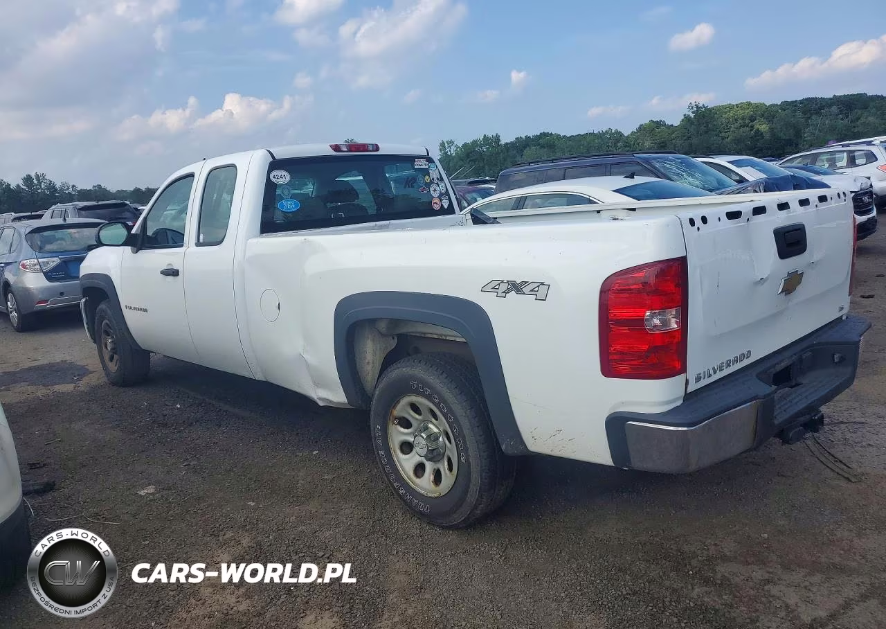 2009 Chevrolet Silverado K1500 VIN:1GCEK19J99E125841 - 2