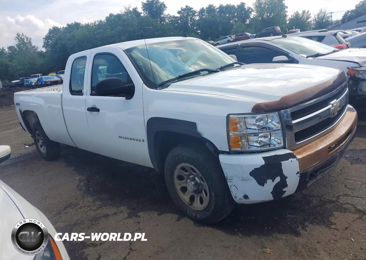 2009 Chevrolet Silverado K1500 VIN:1GCEK19J99E125841 - 4