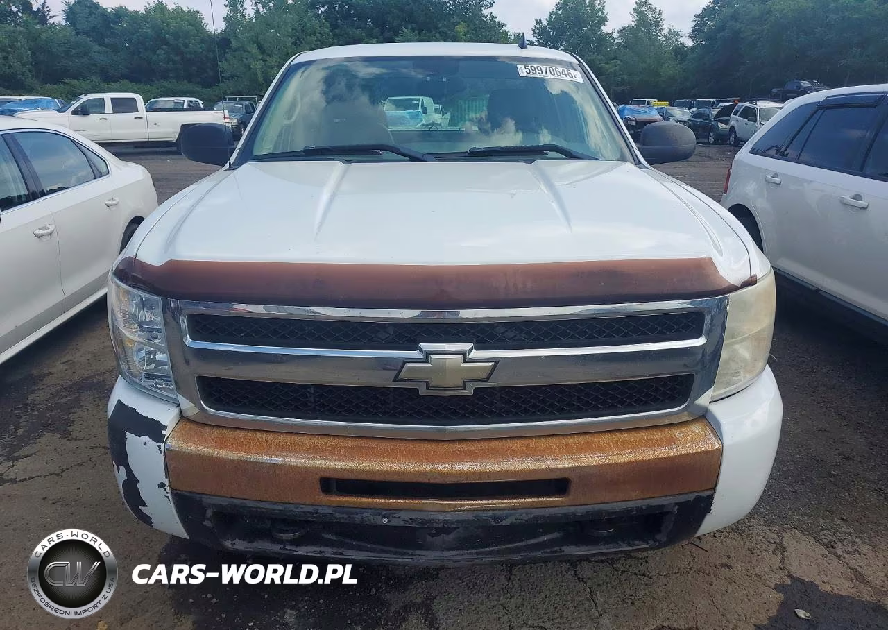 2009 Chevrolet Silverado K1500 VIN:1GCEK19J99E125841 - 5