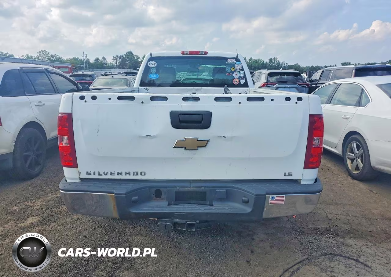 2009 Chevrolet Silverado K1500 VIN:1GCEK19J99E125841 - 6