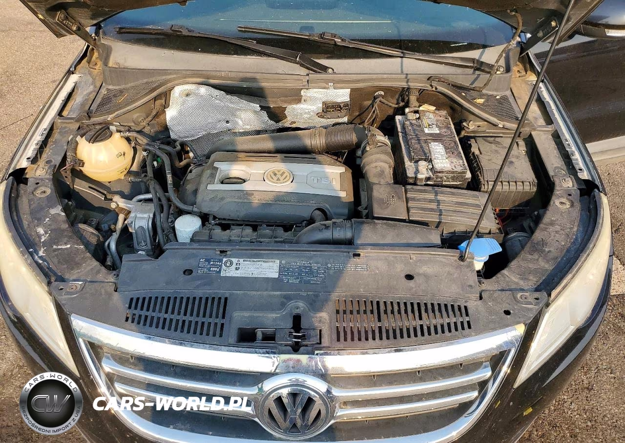 2010 Volkswagen Tiguan Se VIN:WVGBV7AXXAW510655 - 11