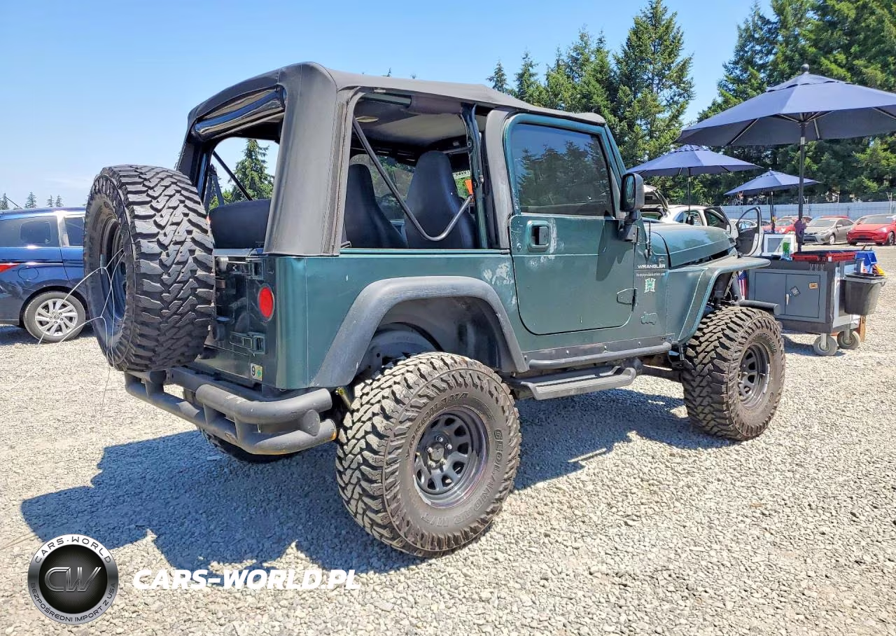2000 Jeep Wrangler - Tj Se VIN:1J4FA29P9YP710076 - 3