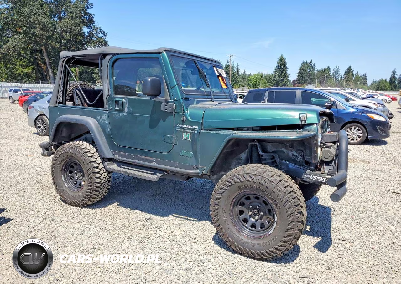 2000 Jeep Wrangler - Tj Se VIN:1J4FA29P9YP710076 - 4