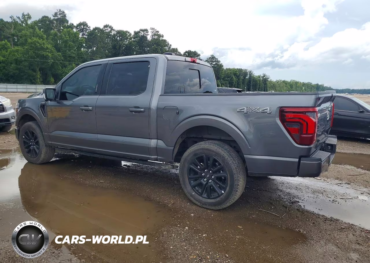 2024 Ford F150 Platinum VIN:1FTFW7L85RFA10942 - 2