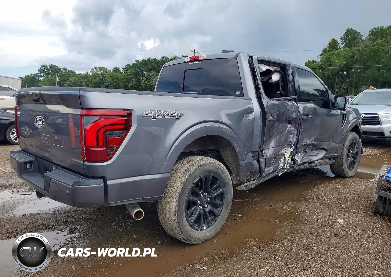 2024 Ford F150 Platinum VIN:1FTFW7L85RFA10942 - 3
