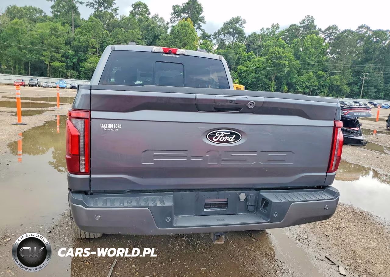 2024 Ford F150 Platinum VIN:1FTFW7L85RFA10942 - 6