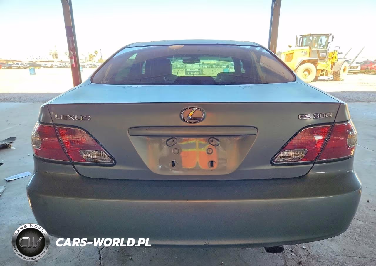 2003 Lexus Es 300 VIN:JTHBF30GX30109641 - 6
