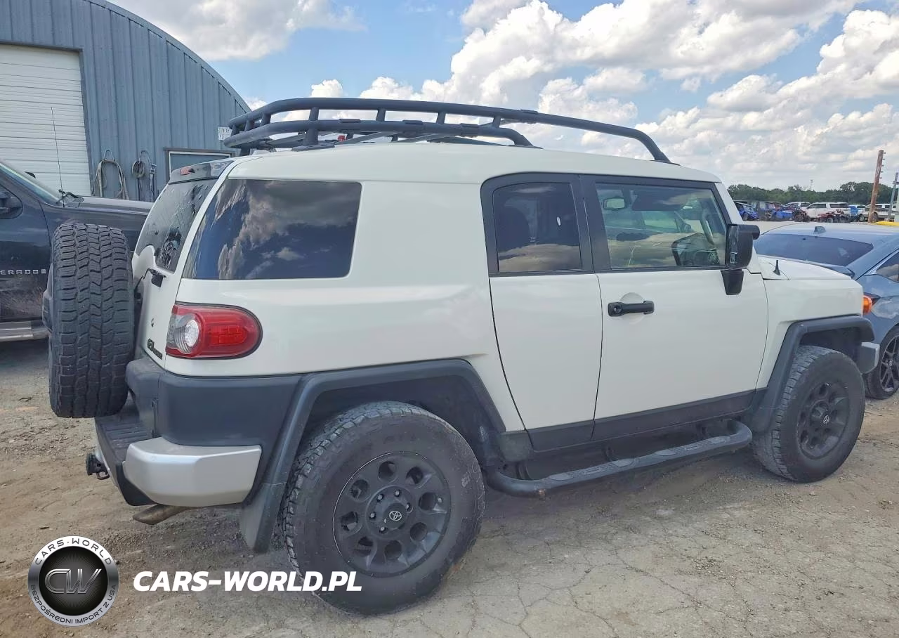 2013 Toyota Fj Cruiser Base VIN:JTEBU4BF9DK169252 - 3